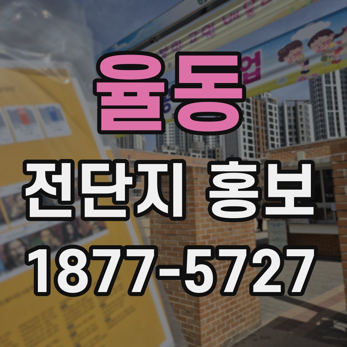 율동 전단지 홍보