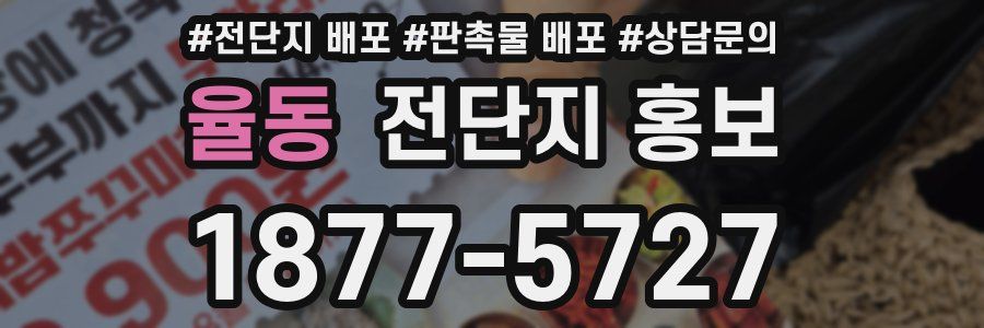 율동 전단지 홍보