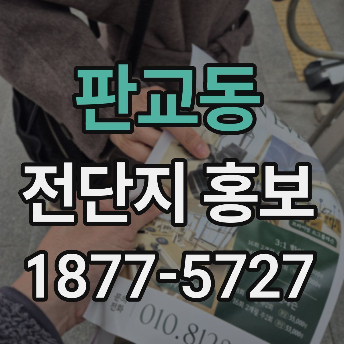 판교동 전단지 홍보