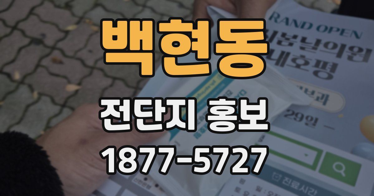 백현동 전단지 홍보