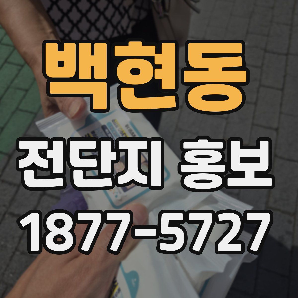 백현동 전단지 홍보
