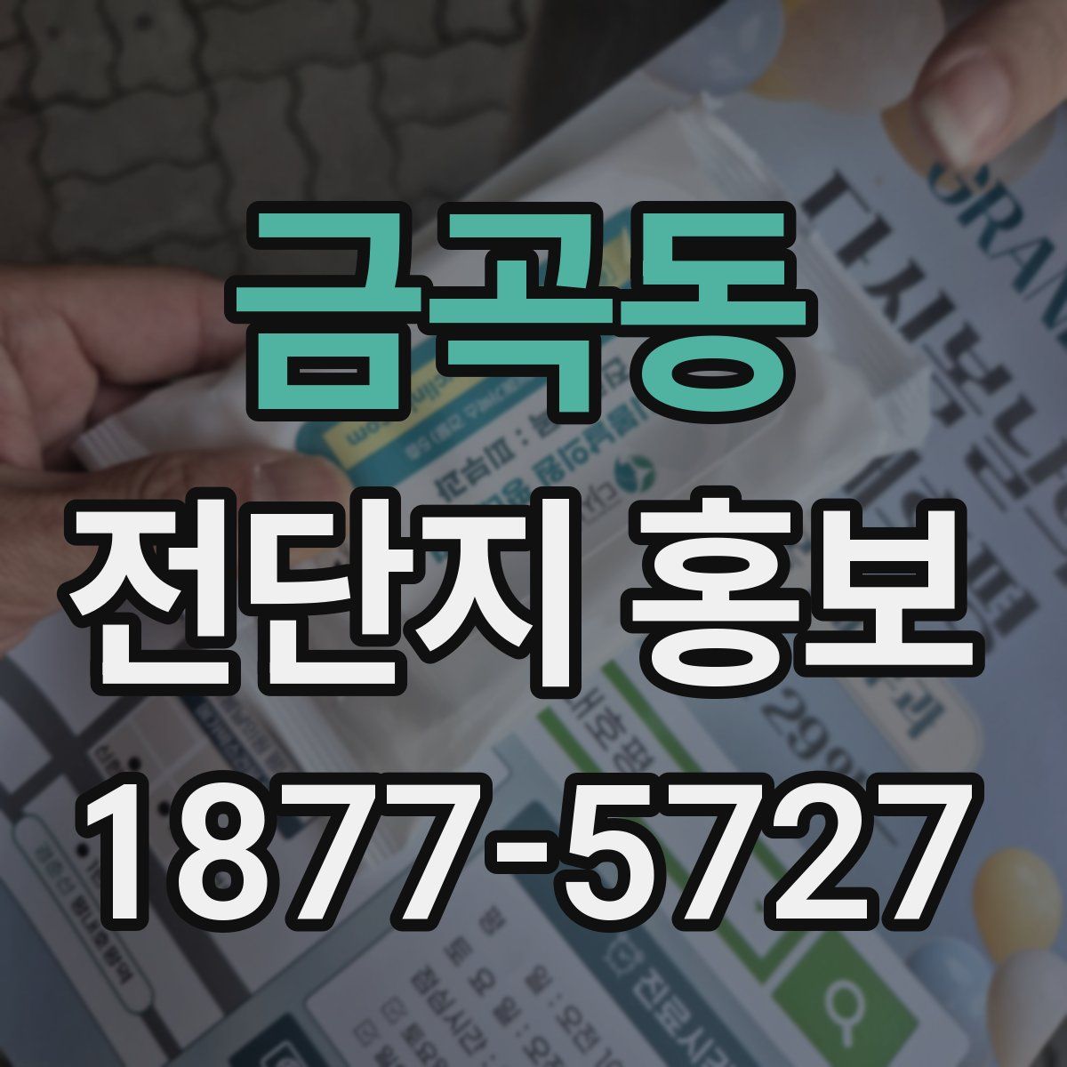 금곡동 전단지 홍보