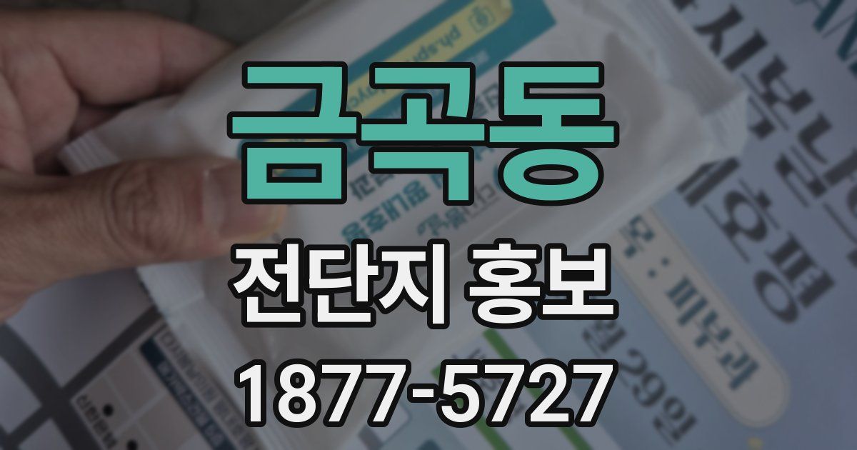 금곡동 전단지 홍보