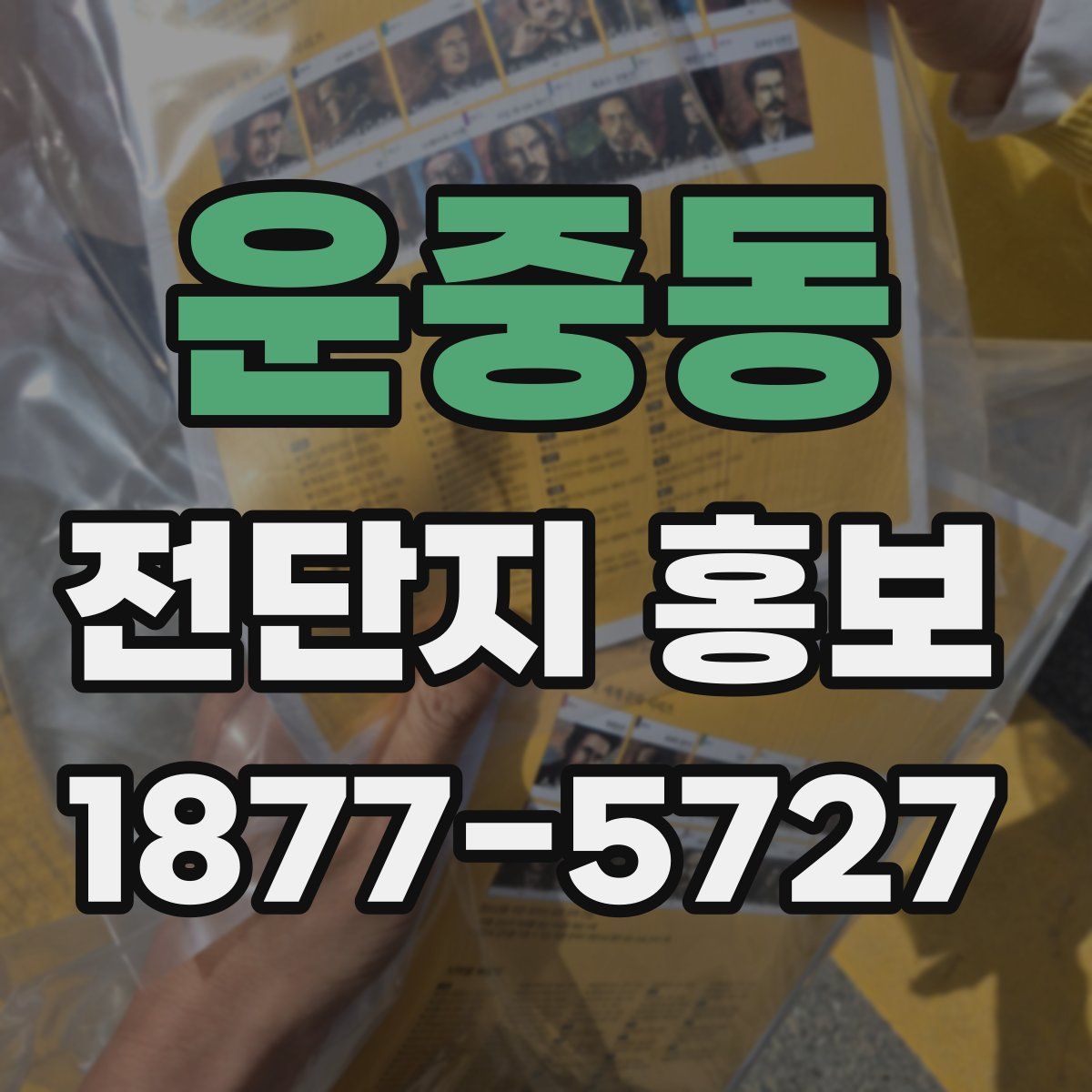 운중동 전단지 홍보