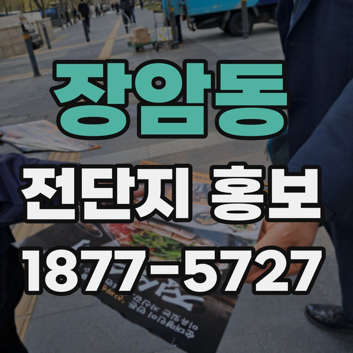 장암동 전단지 홍보