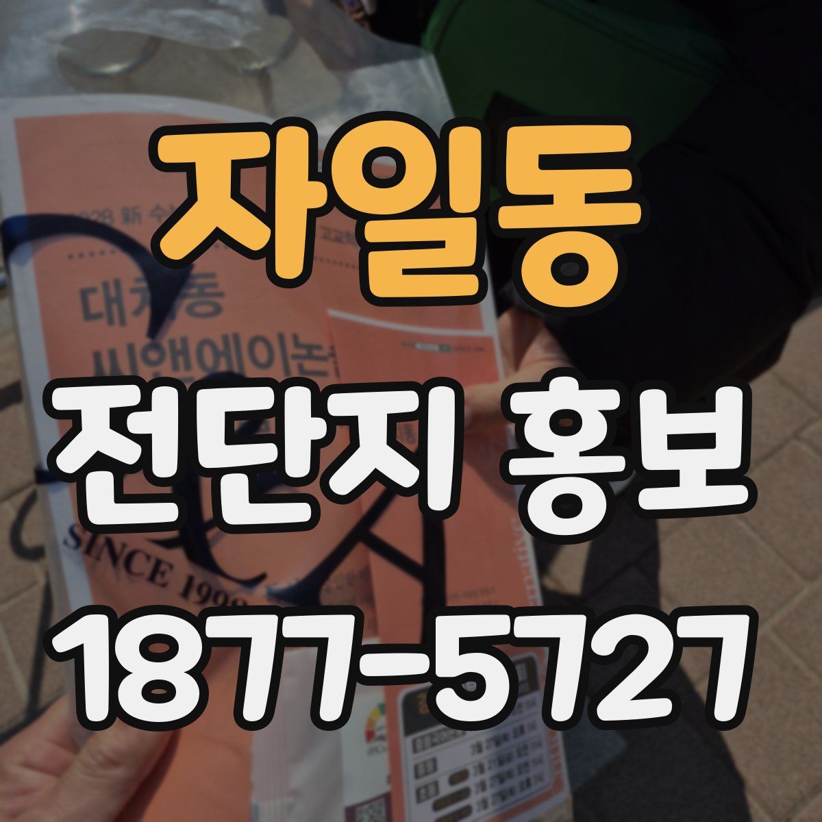자일동 전단지 홍보