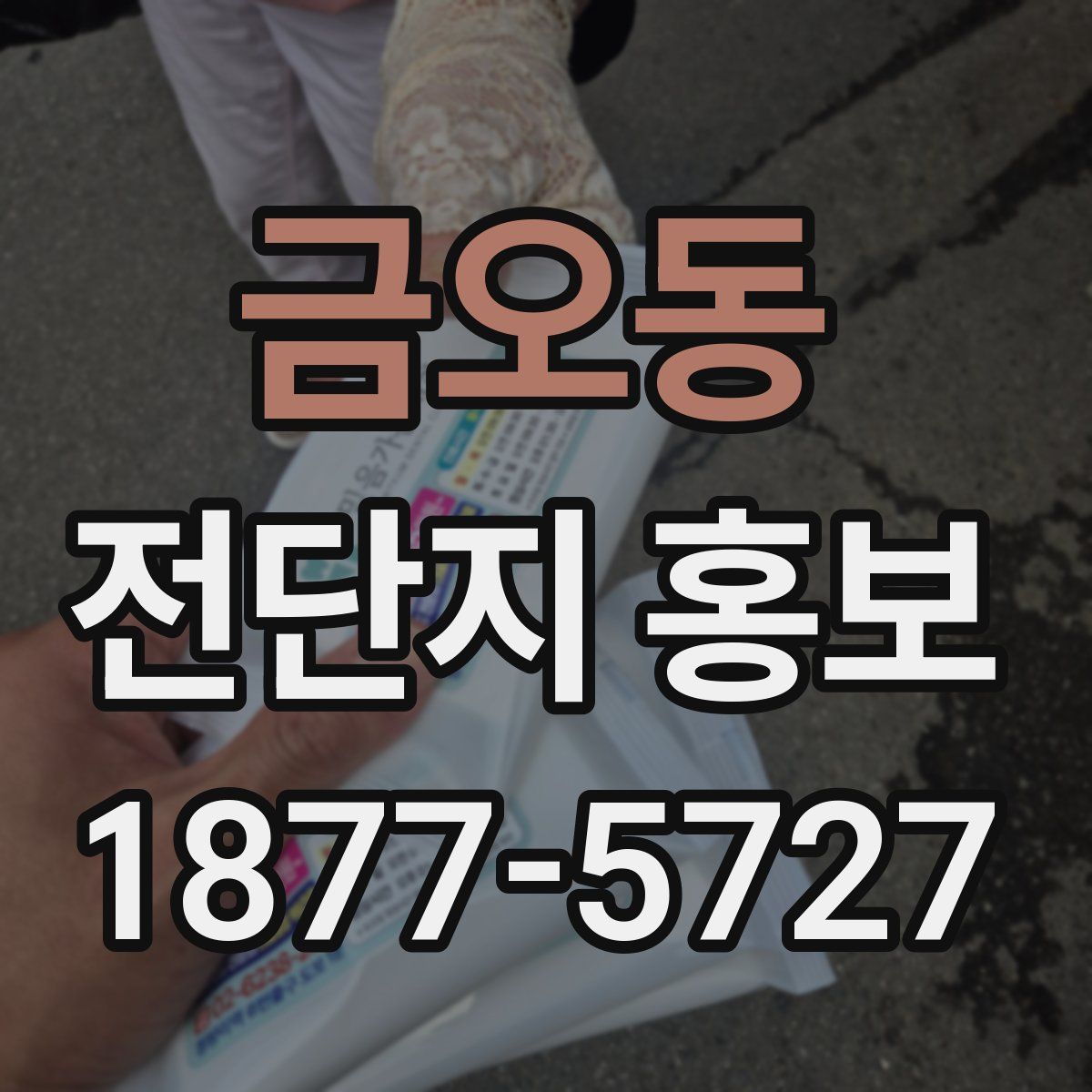 금오동 전단지 홍보