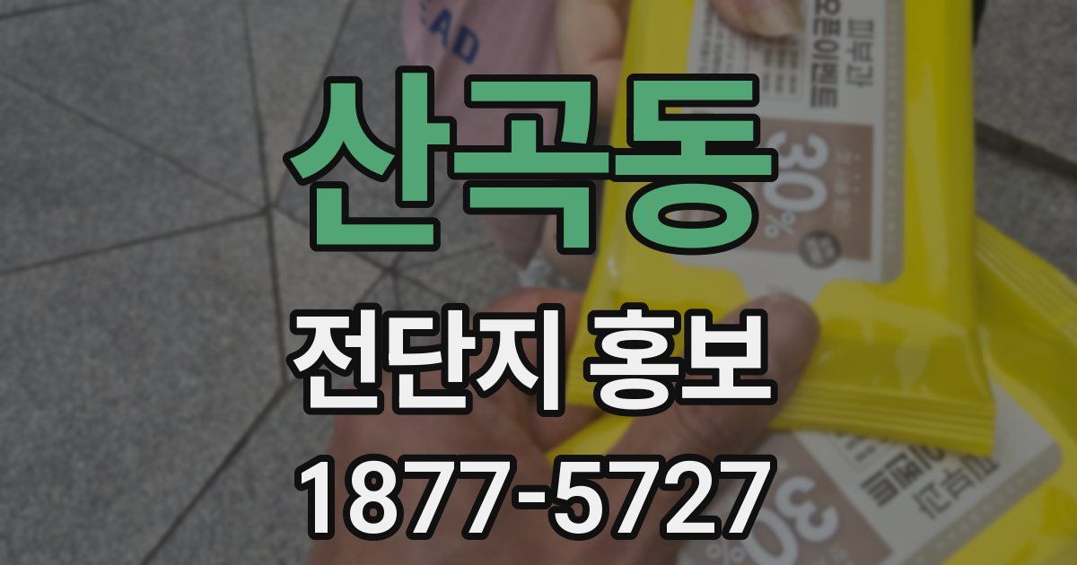 산곡동 전단지 홍보