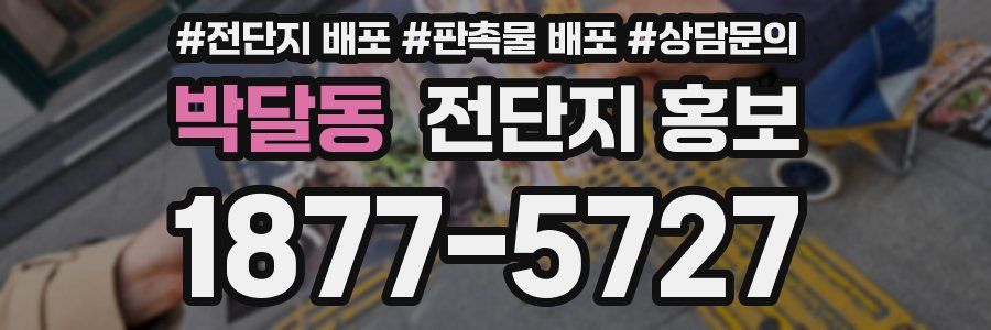 박달동 전단지 홍보