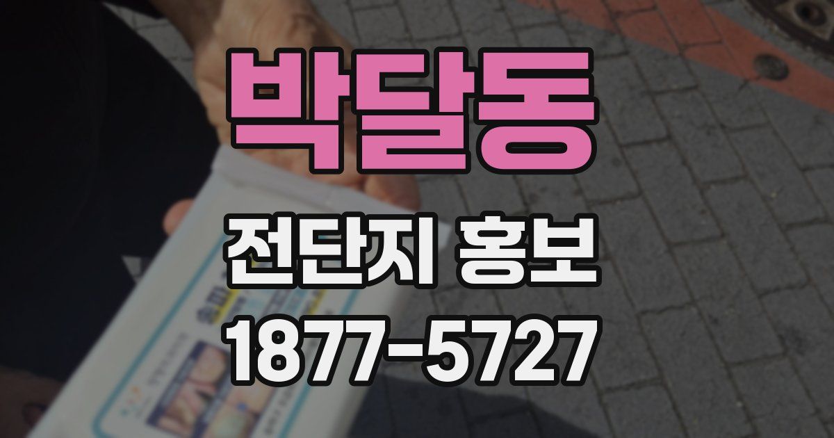 박달동 전단지 홍보