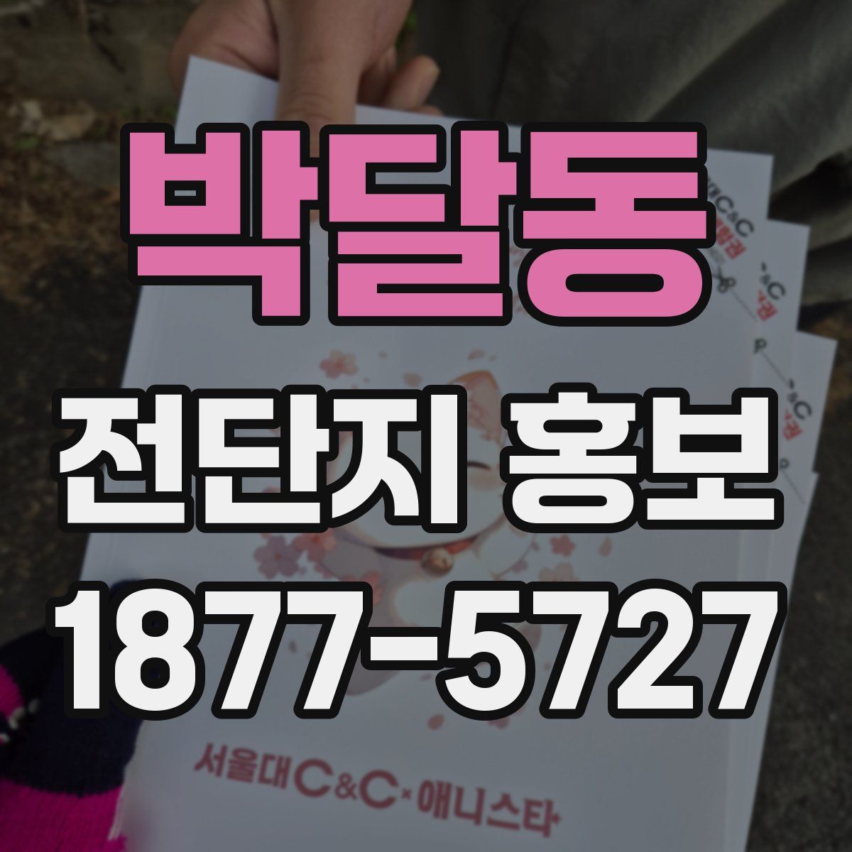 박달동 전단지 홍보