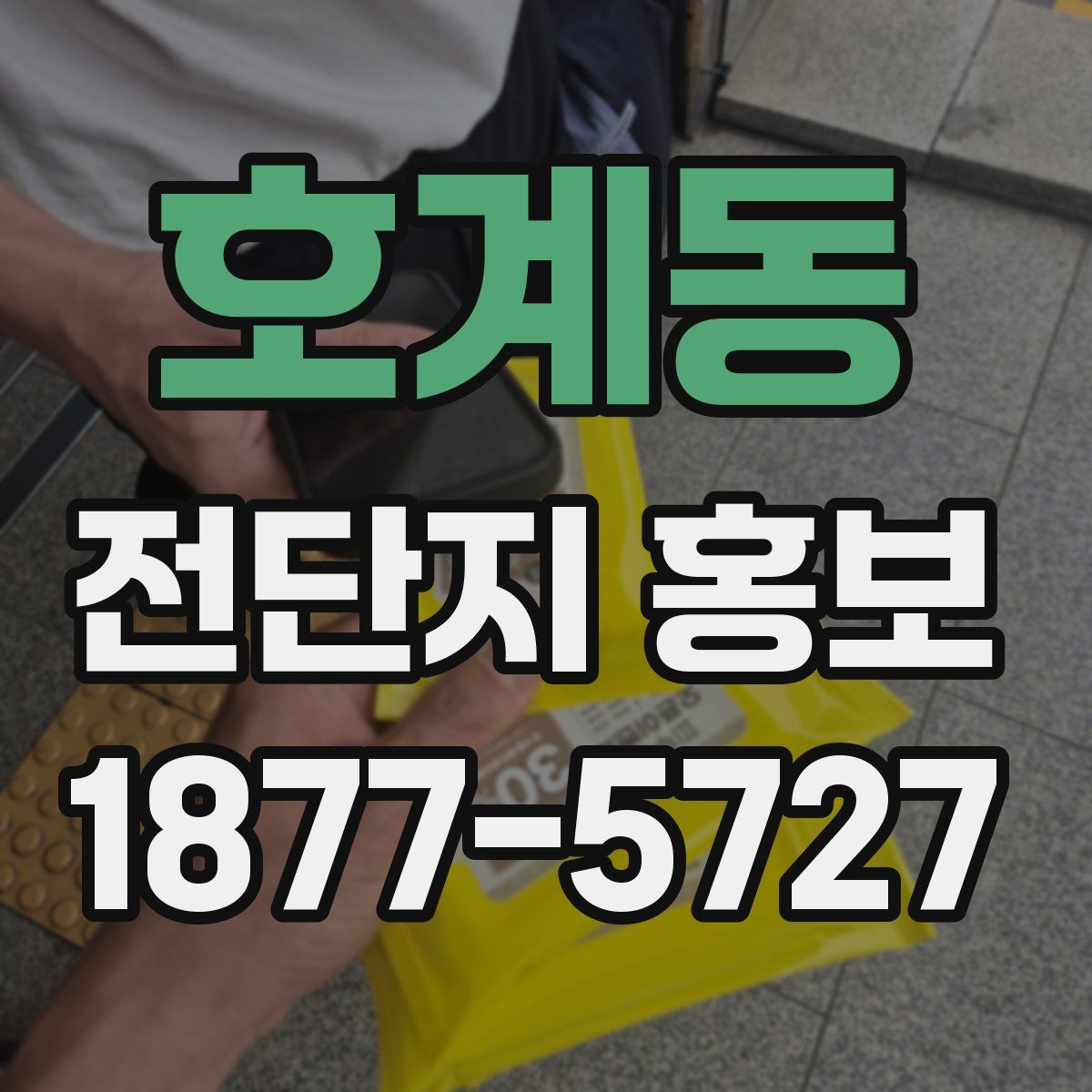 호계동 전단지 홍보