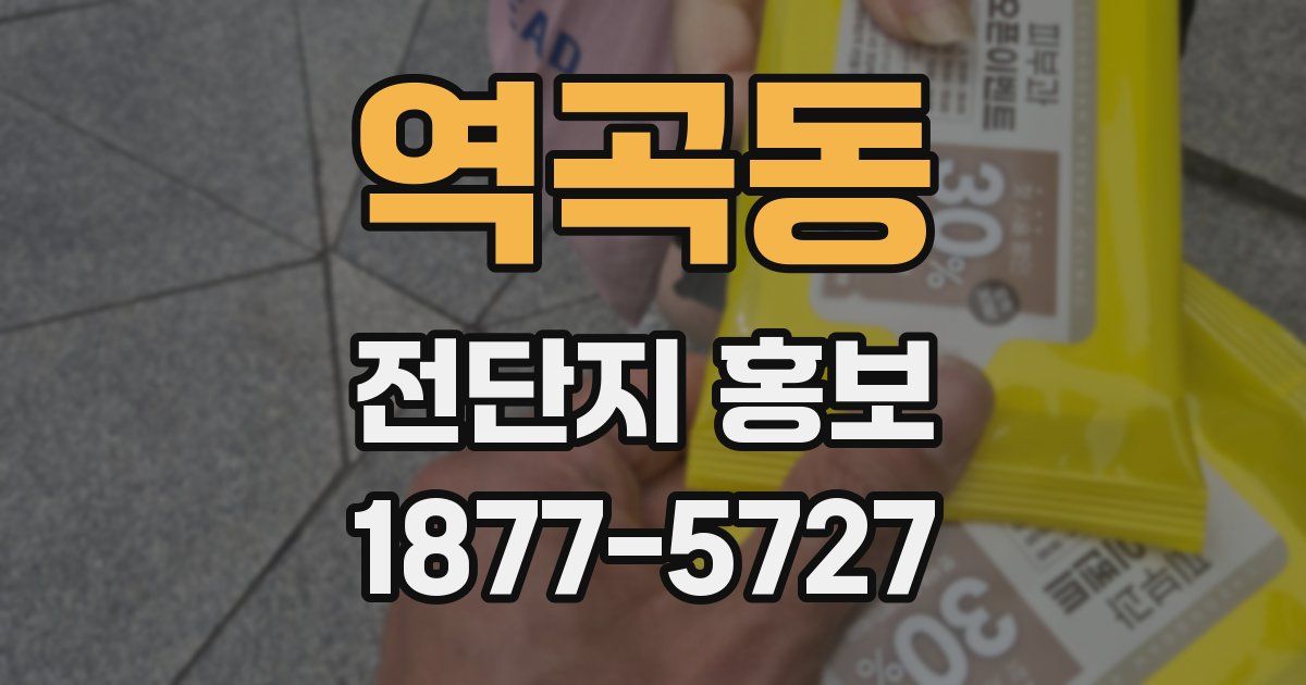 역곡동 전단지 홍보