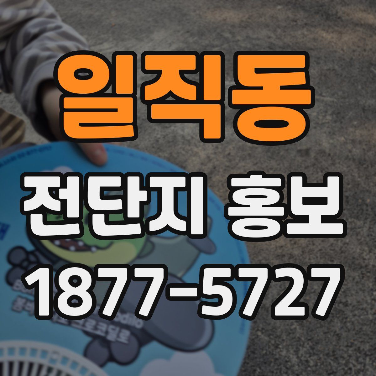 일직동 전단지 홍보