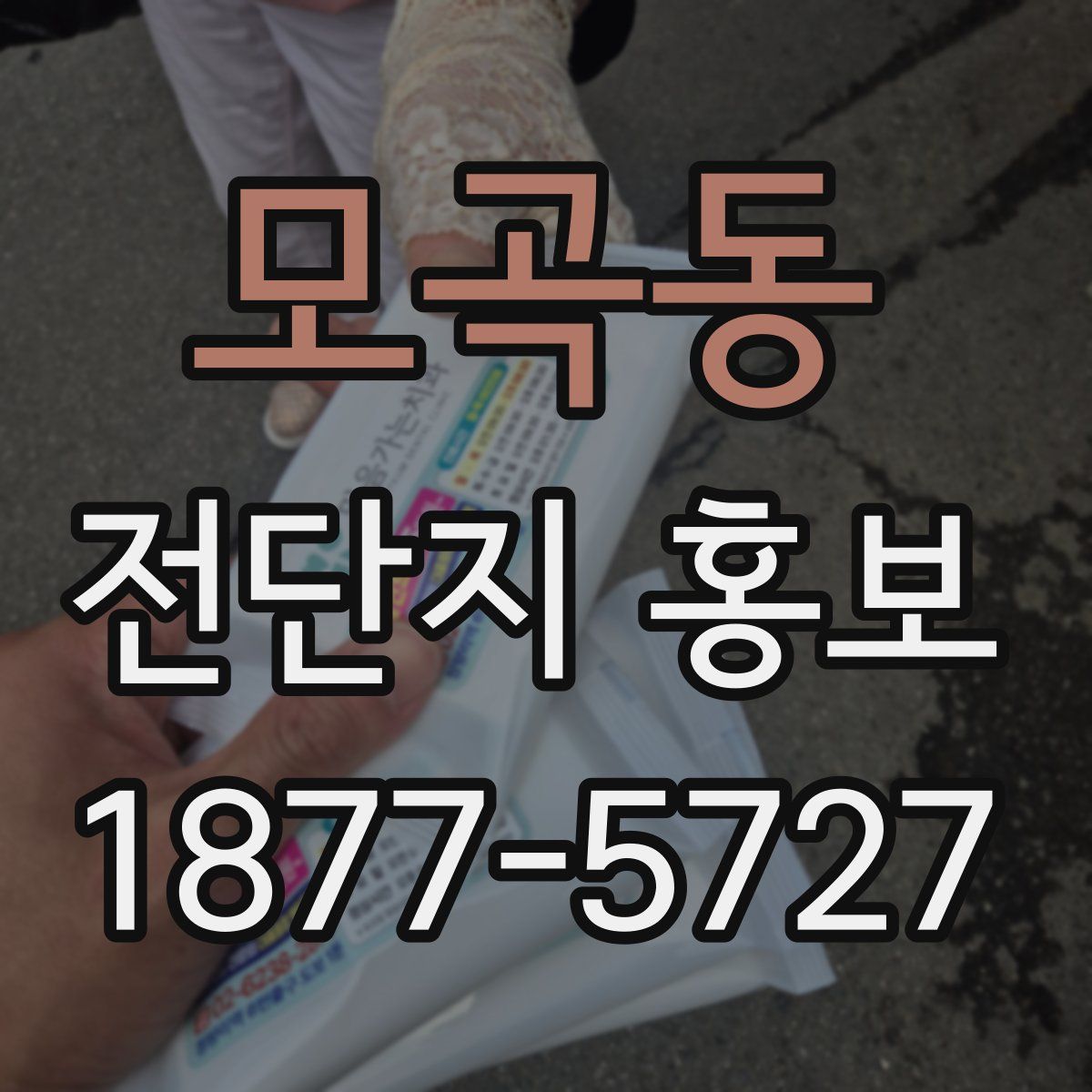 모곡동 전단지 홍보