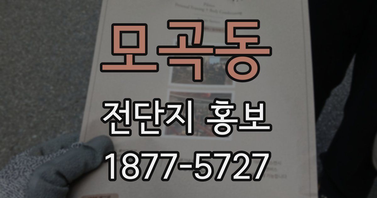 모곡동 전단지 홍보