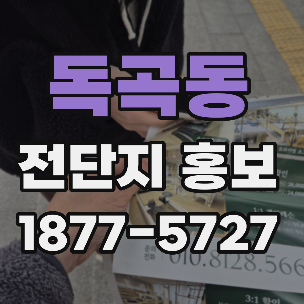 독곡동 전단지 홍보