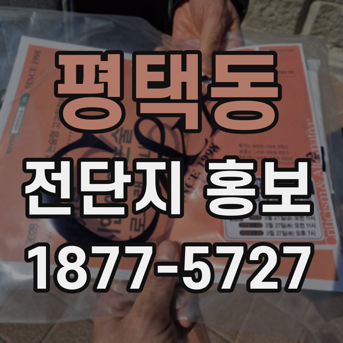 평택동 전단지 홍보