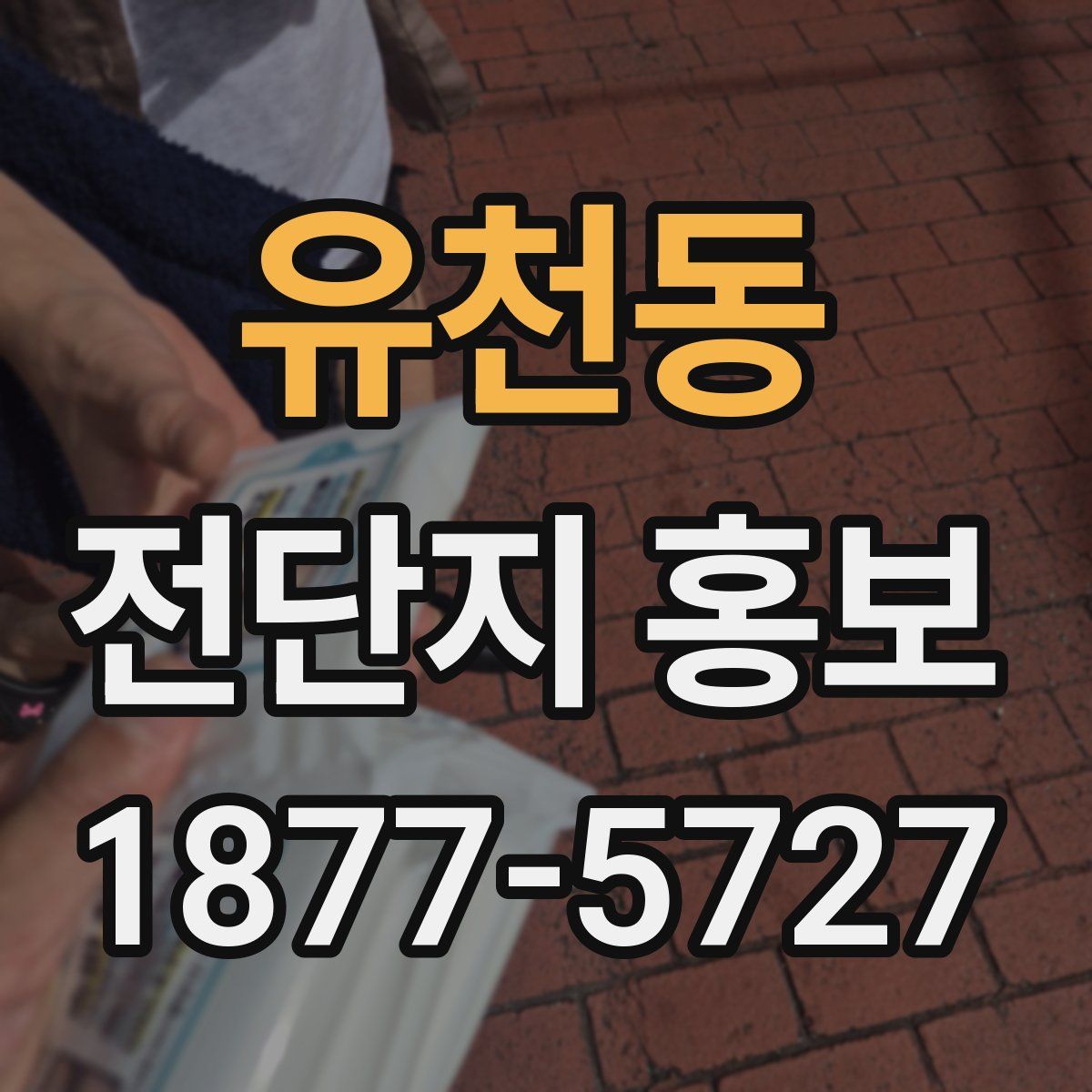 유천동 전단지 홍보