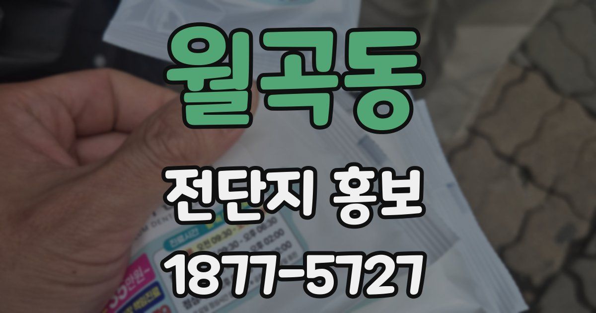 월곡동 전단지 홍보
