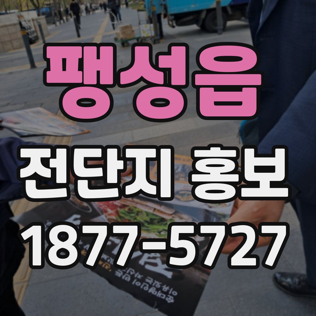 팽성읍 전단지 홍보