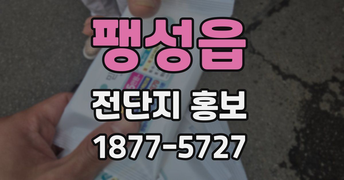 팽성읍 전단지 홍보