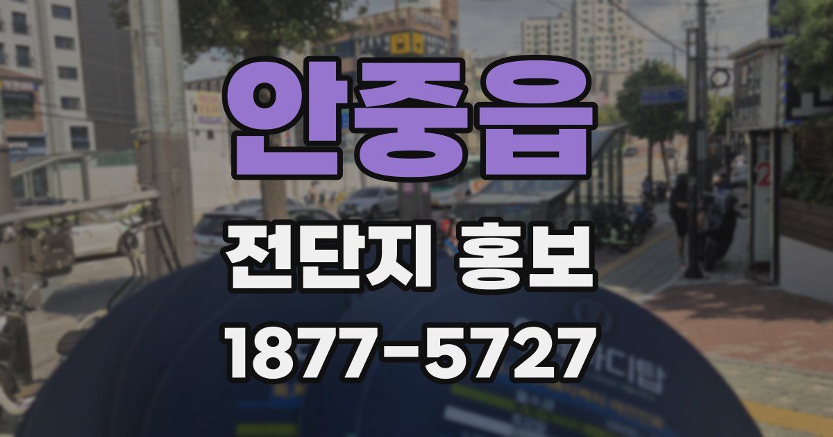 안중읍 전단지 홍보