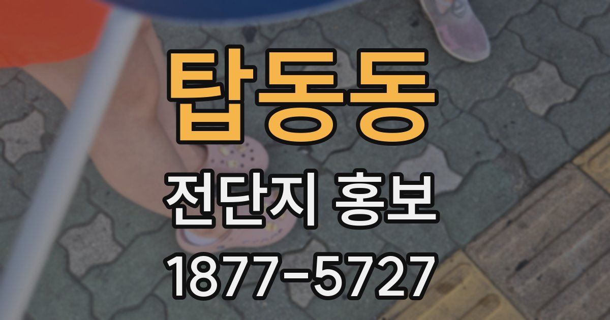 탑동동 전단지 홍보