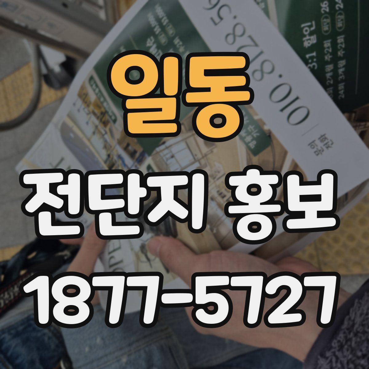 일동 전단지 홍보