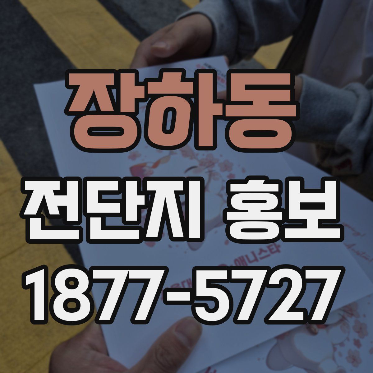 장하동 전단지 홍보