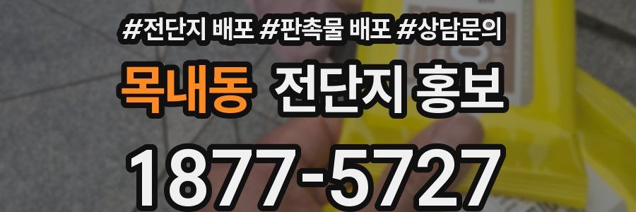 목내동 전단지 홍보