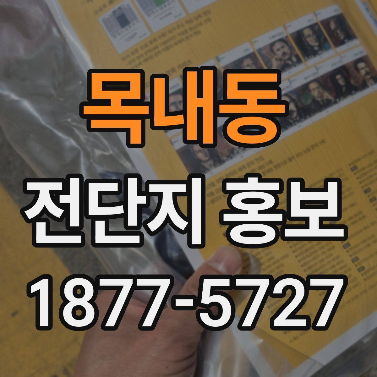 목내동 전단지 홍보