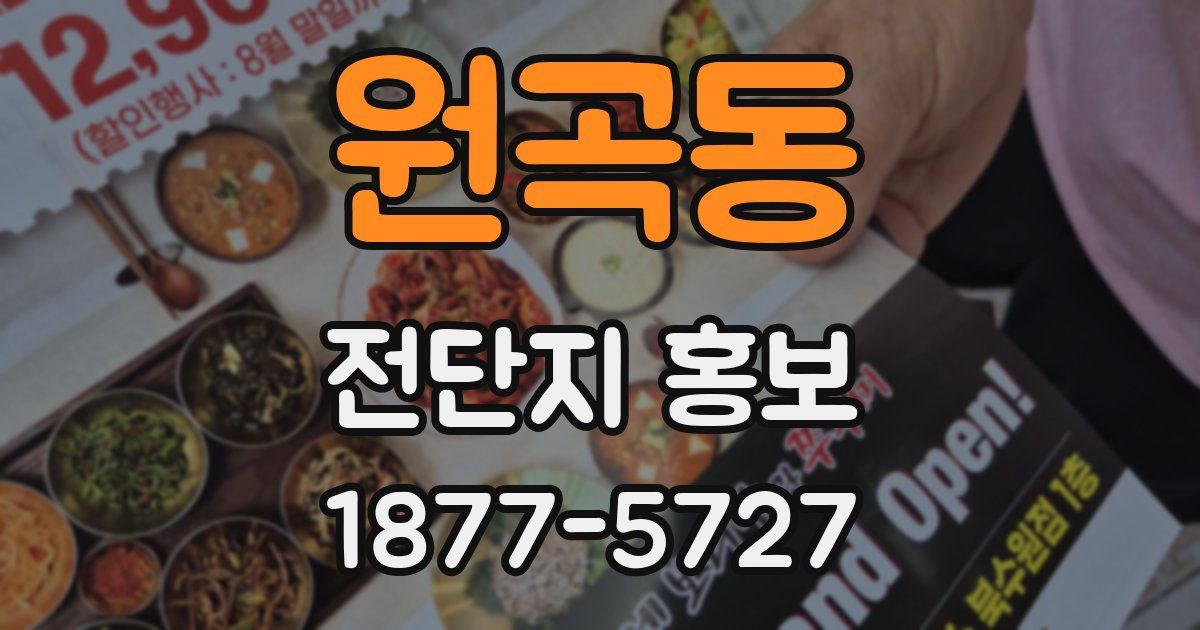원곡동 전단지 홍보