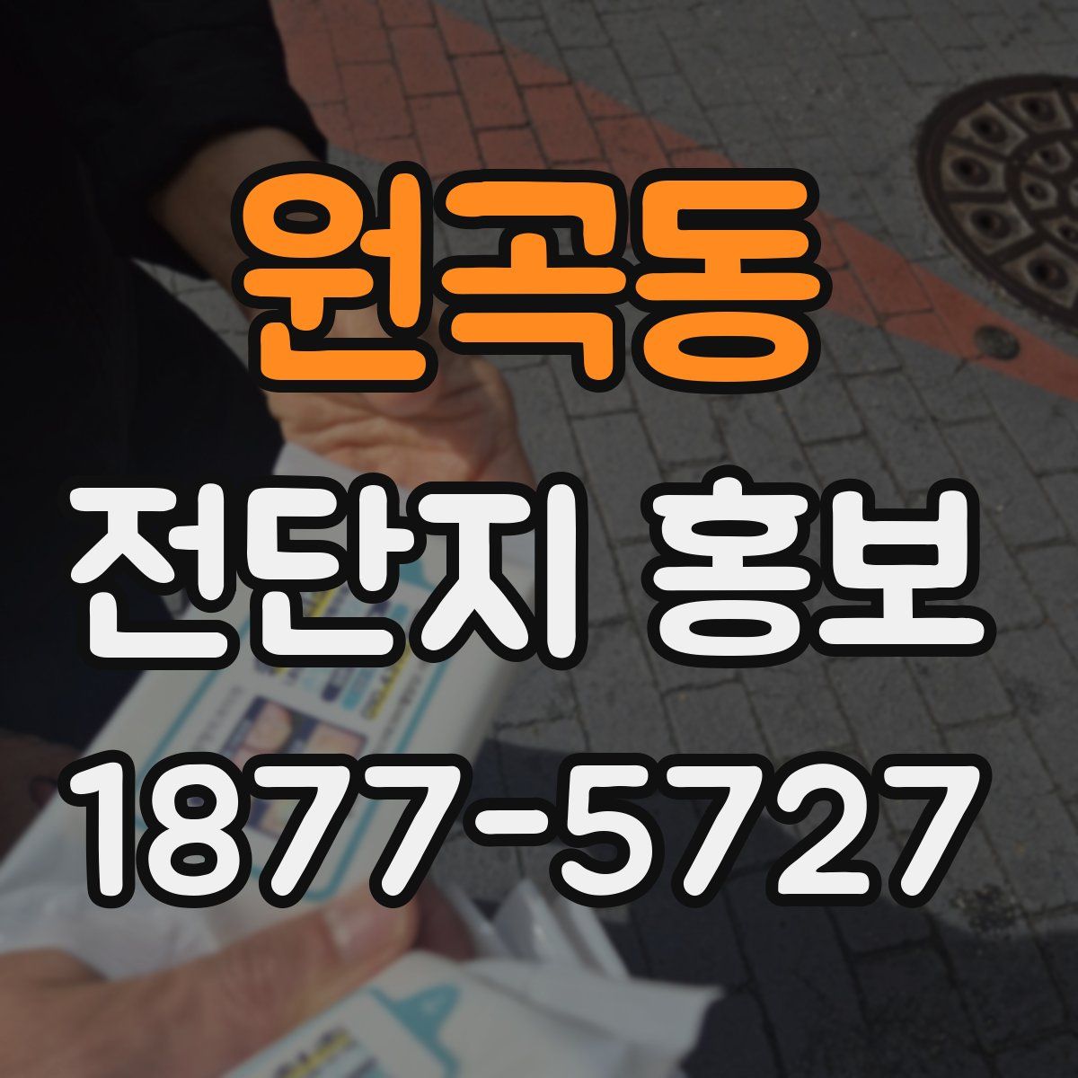 원곡동 전단지 홍보