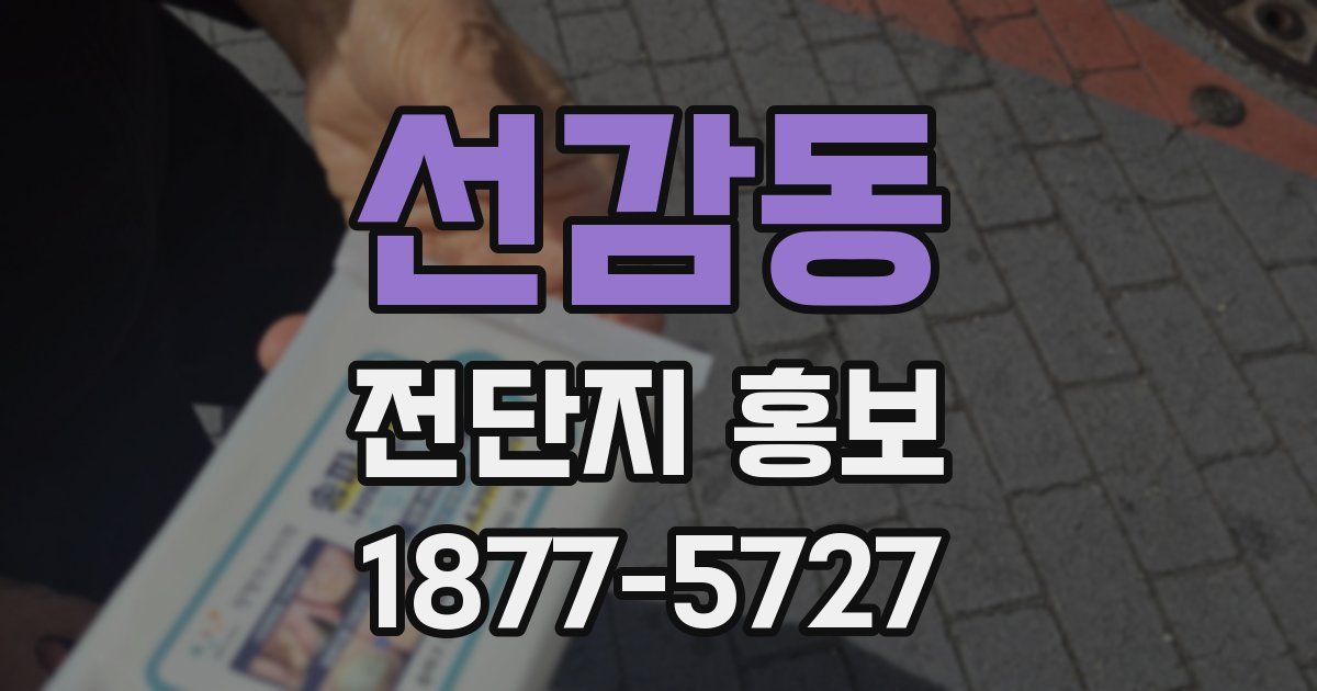 선감동 전단지 홍보