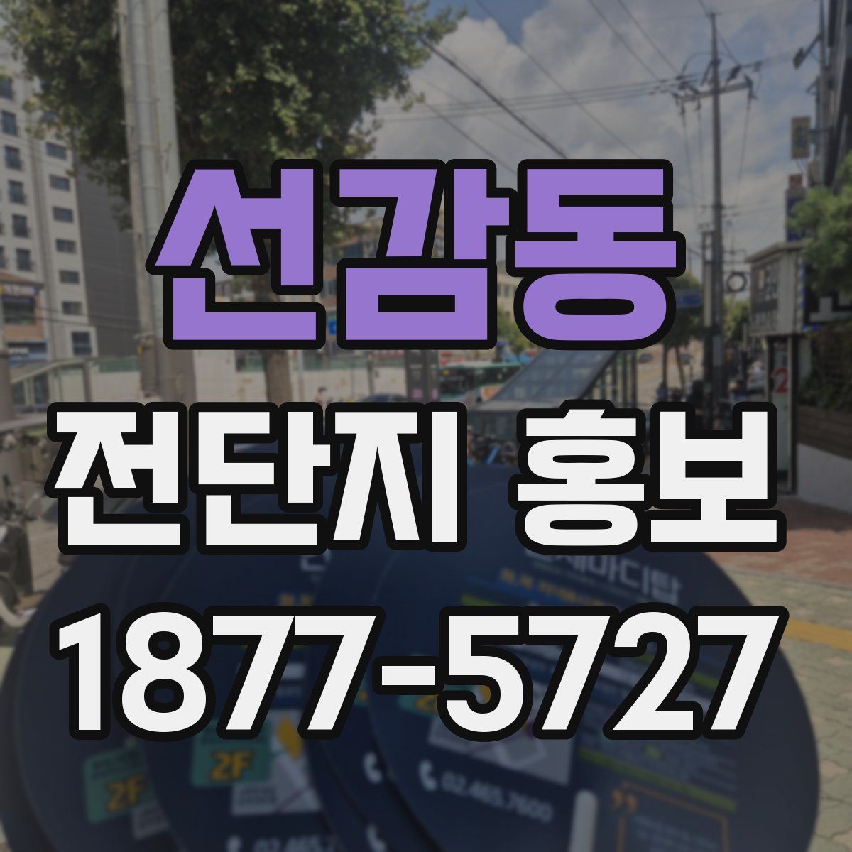 선감동 전단지 홍보