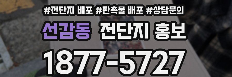 선감동 전단지 홍보