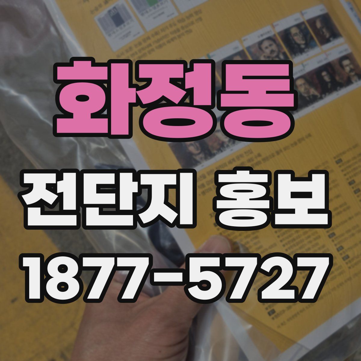 화정동 전단지 홍보
