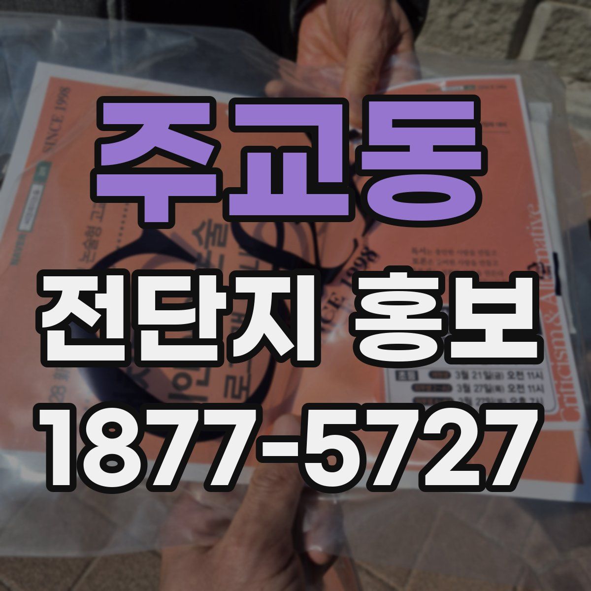 주교동 전단지 홍보