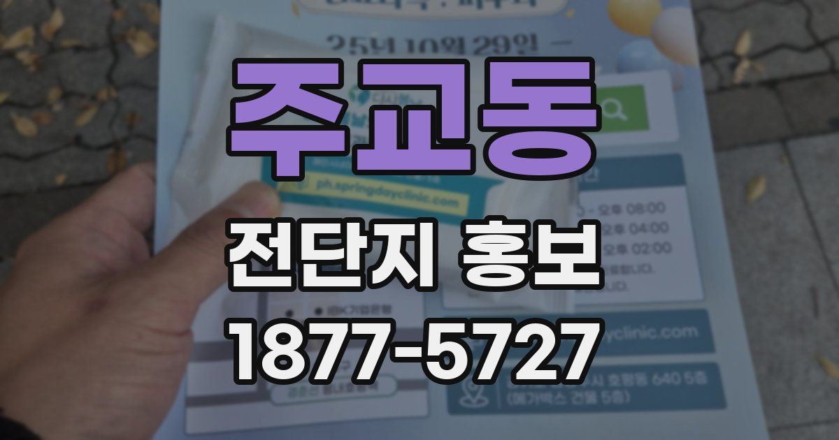 주교동 전단지 홍보