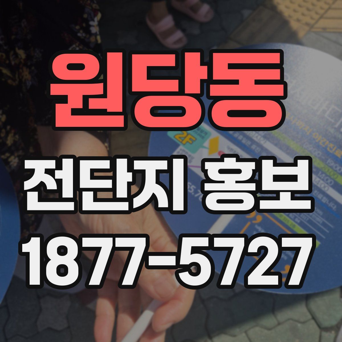 원당동 전단지 홍보