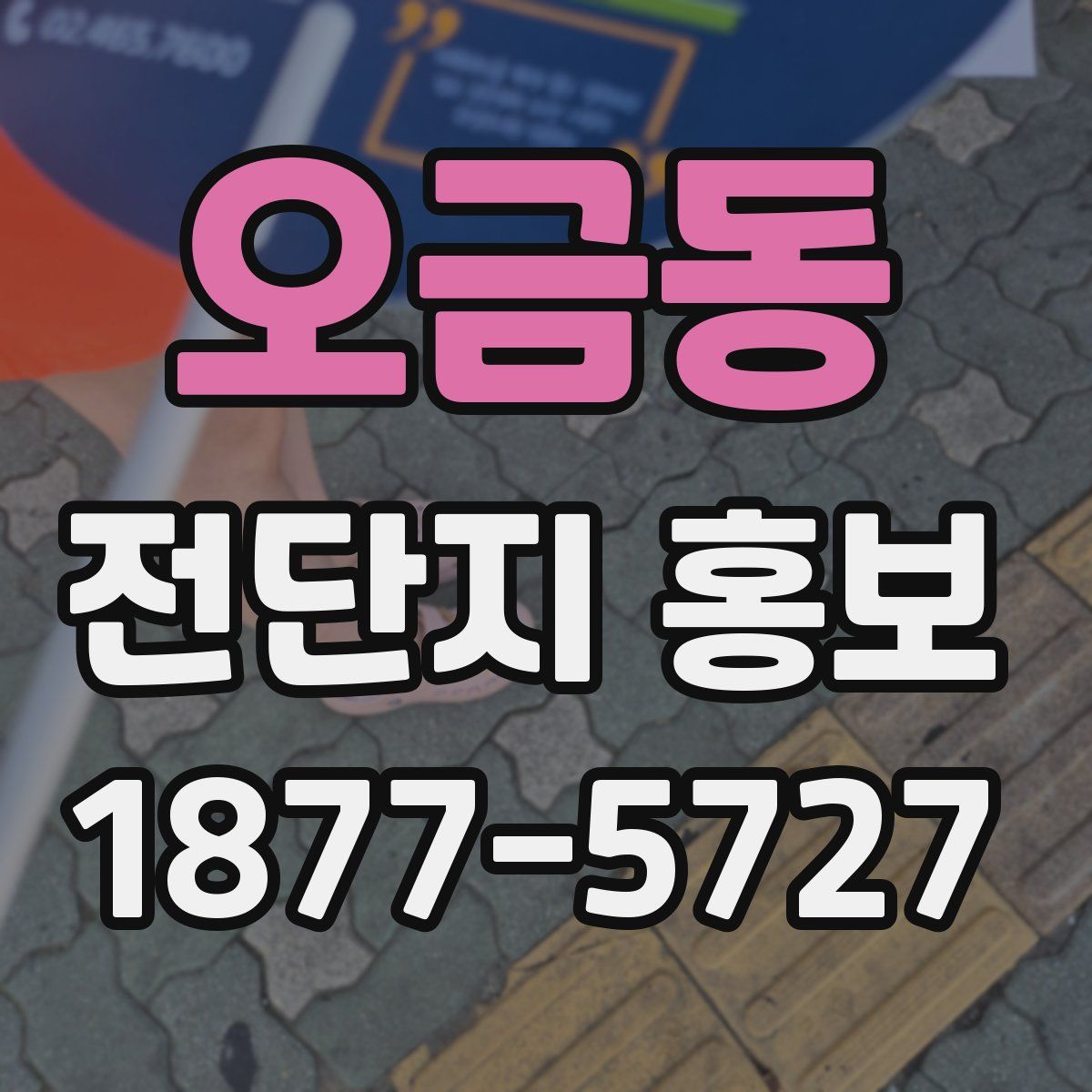 오금동 전단지 홍보