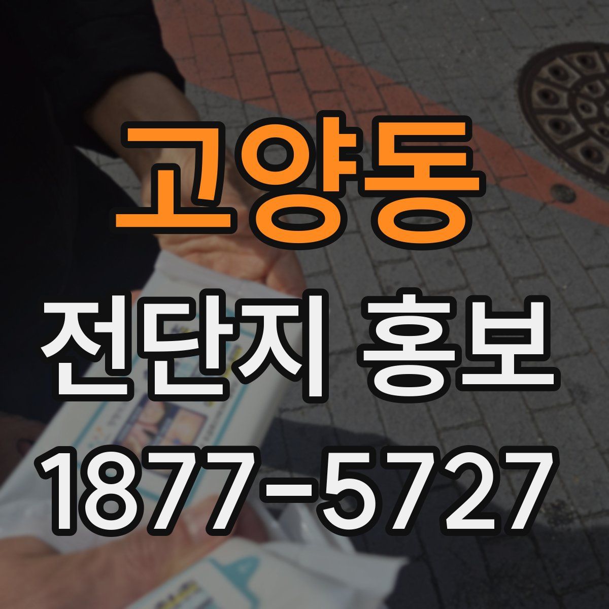 고양동 전단지 홍보