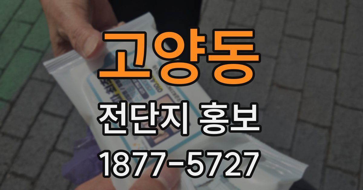 고양동 전단지 홍보
