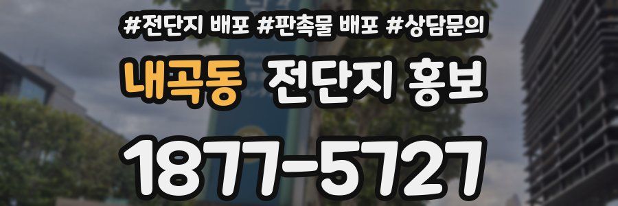 내곡동 전단지 홍보