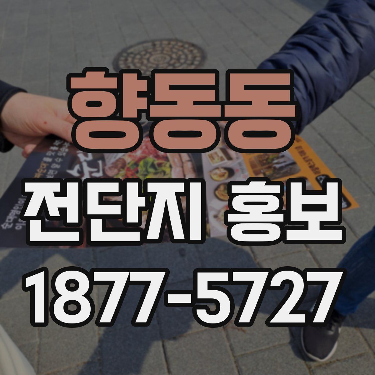 향동동 전단지 홍보