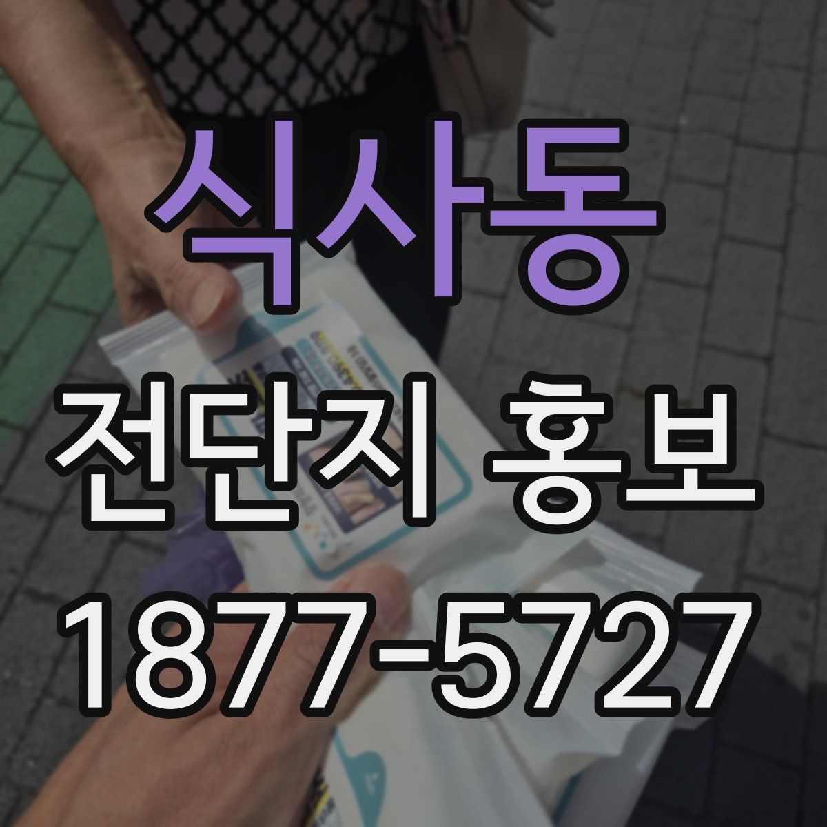 식사동 전단지 홍보