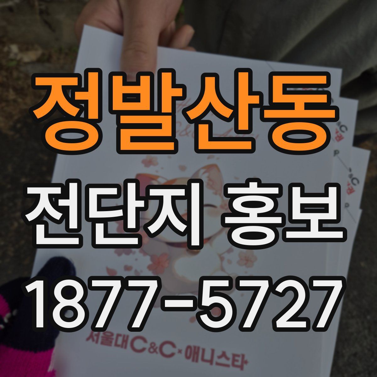 정발산동 전단지 홍보