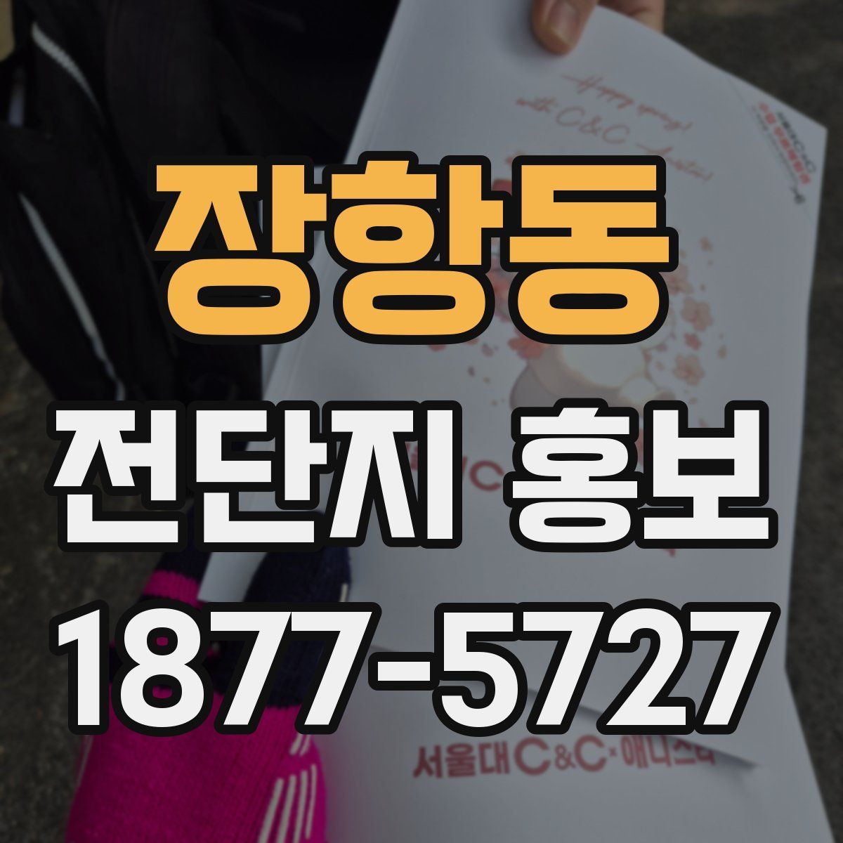장항동 전단지 홍보