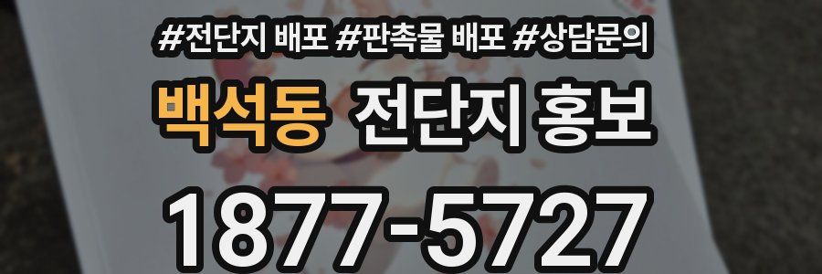 백석동 전단지 홍보